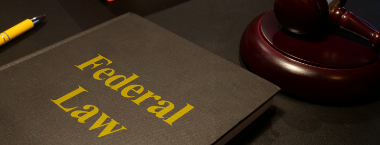 Federal Crimes Defense Lawyer